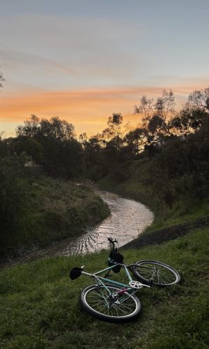 A bike next to Moonee Ponds Creek